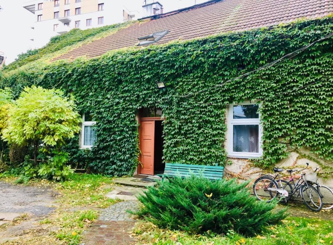 Apartment In Ivy Covered House, Near Old Town 克拉科夫 外观 照片